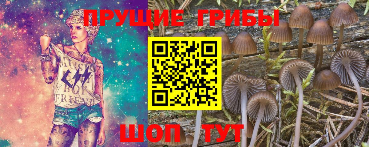 Галлюциногенные грибы Magic Shrooms Анапа