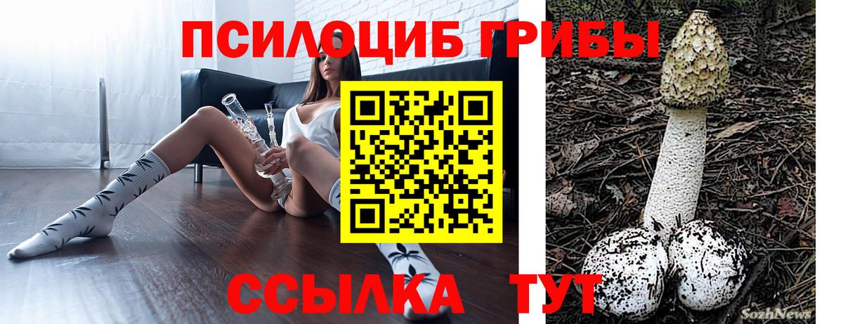 Анапа  Галлюциногенные грибы прущие грибы  Вход с VPN 